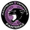 Asamblea Feminista Panteras